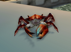 Spirebound Crab