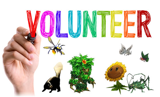 Volunteer Needed: Pet Profile Graphic Artist