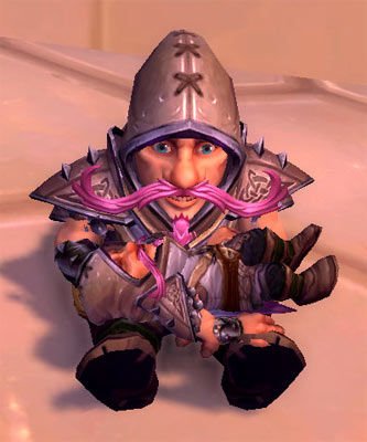 Gnome with cat pet transformed into gnome