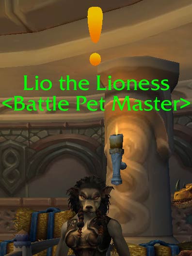 NPC offering weekly quest in Legion