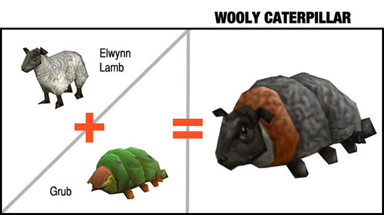 New species: Wooly Caterpillar