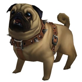 Perky Pug