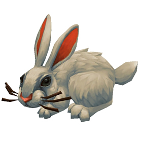 Wow Snowshoe Hare Battle Pet