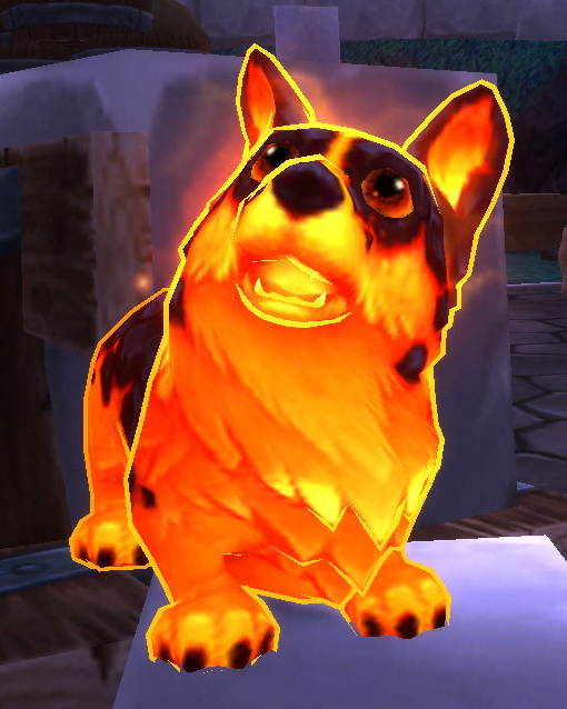 Molten Corgi — Pet of the Month: December 2014