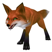 Fox Kit