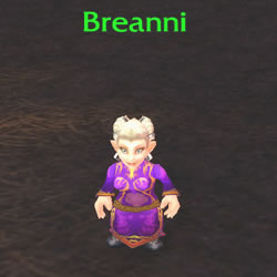 Breanni Visits the Faire In 4.3!